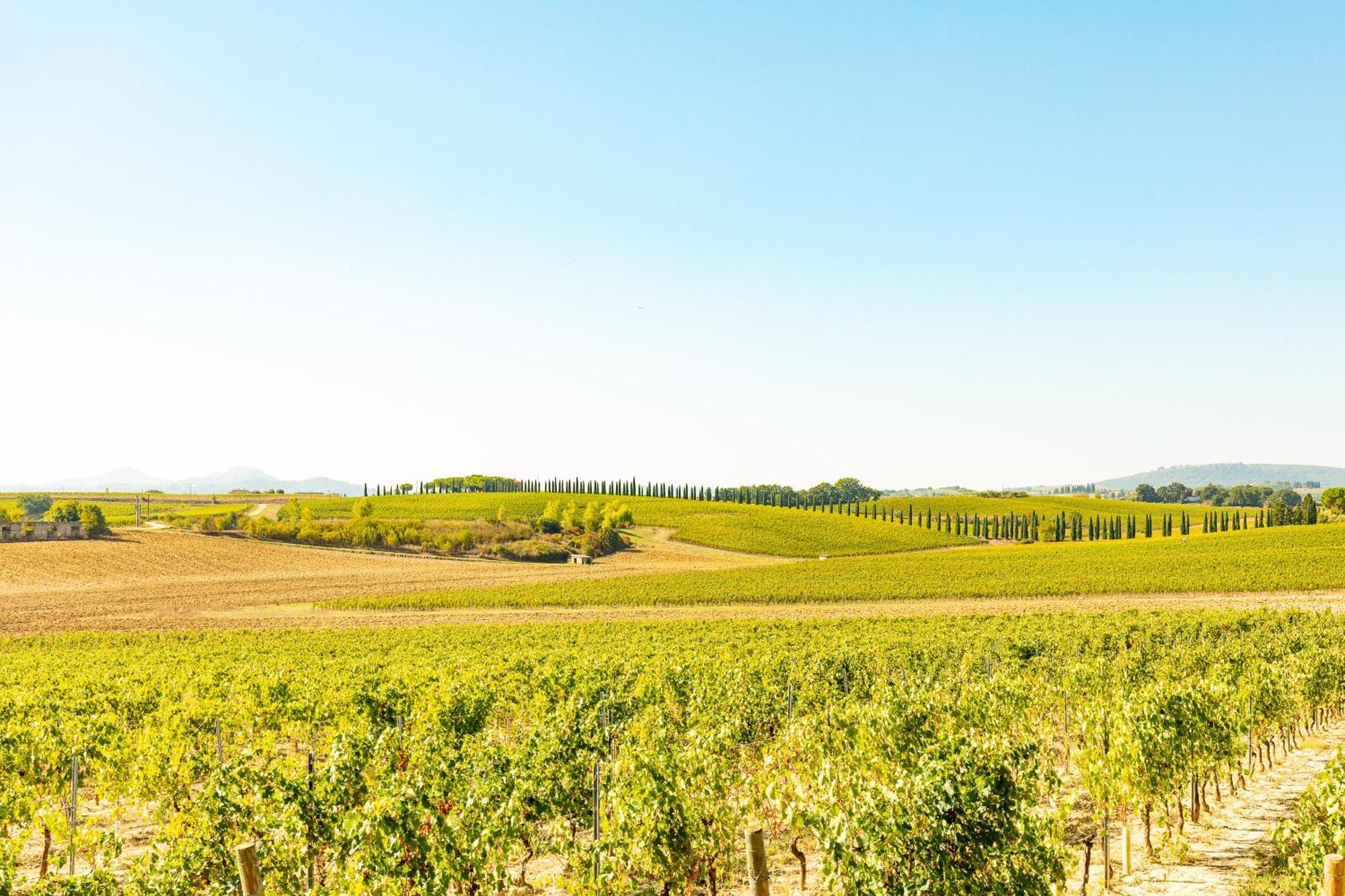 Appartamento Greppino Montepulciano Stazione Εξωτερικό φωτογραφία