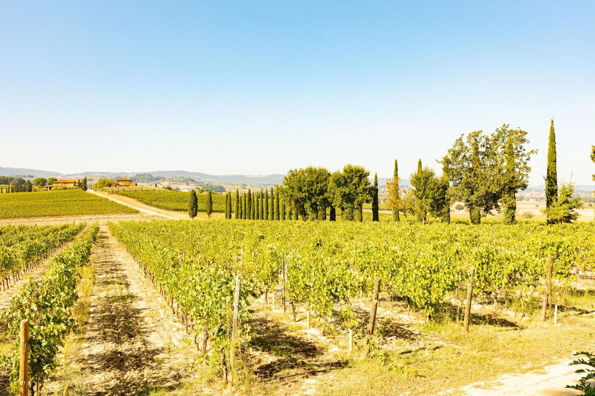 Appartamento Greppino Montepulciano Stazione Εξωτερικό φωτογραφία