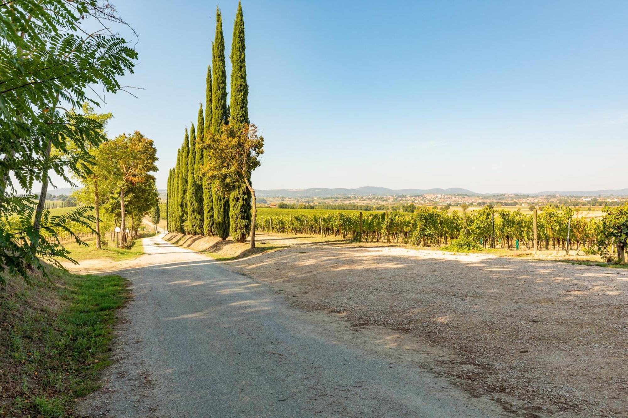 Appartamento Greppino Montepulciano Stazione Εξωτερικό φωτογραφία