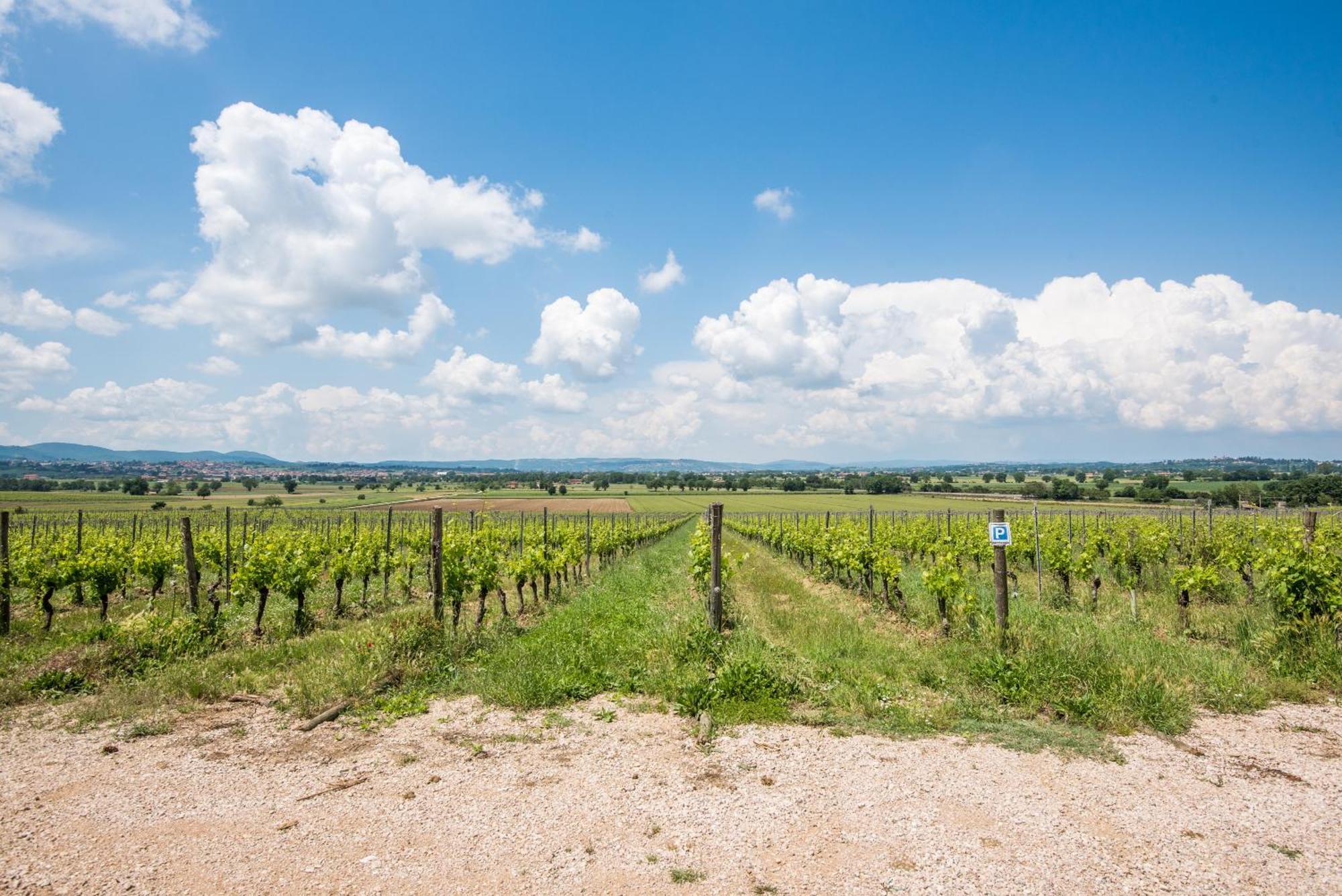 Appartamento Greppino Montepulciano Stazione Εξωτερικό φωτογραφία